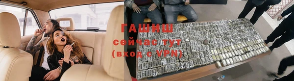 прущие грибы Покров