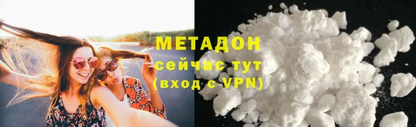 прущие грибы Покров