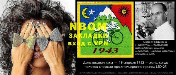 прущие грибы Покров