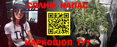 стаф Абакан