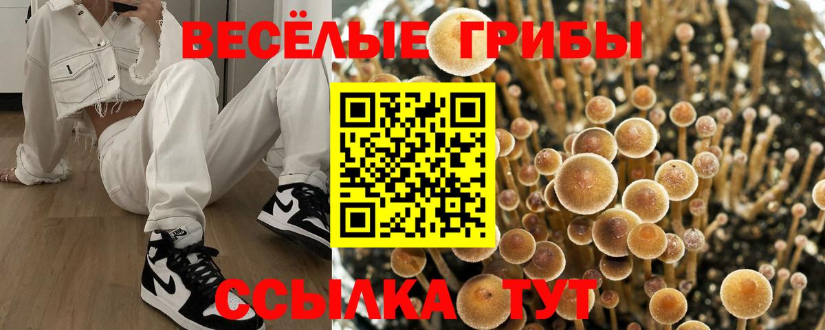Псилоцибиновые грибы MAGIC MUSHROOMS Асино