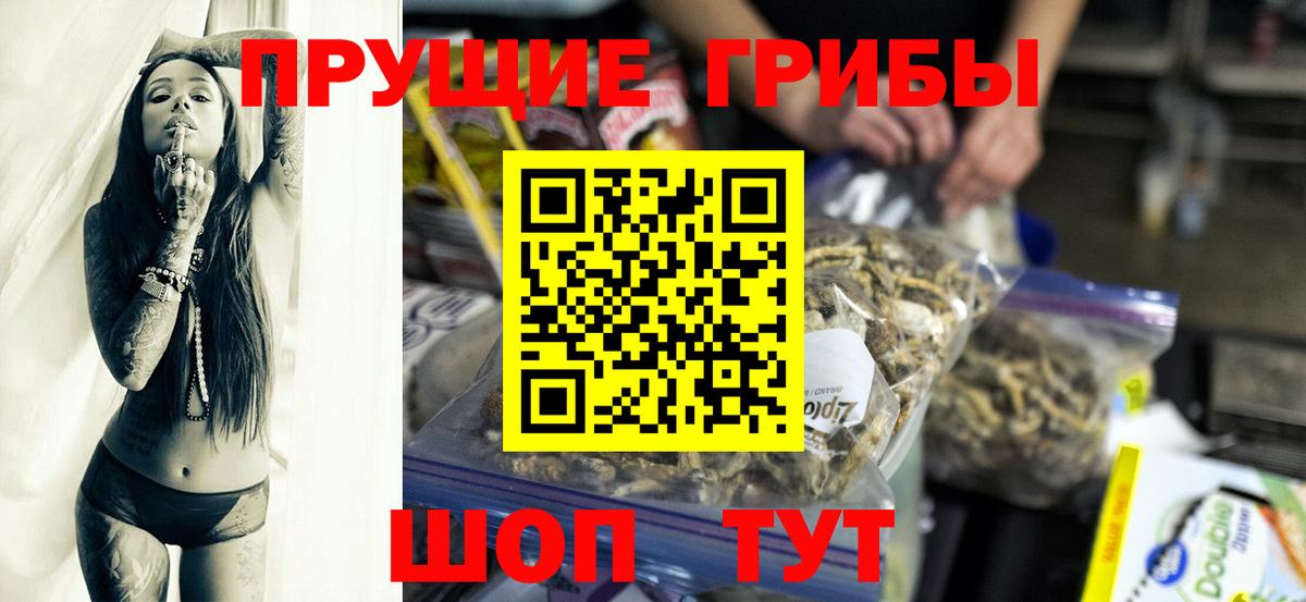 Псилоцибиновые грибы Psilocybine cubensis  Псилоцибиновые грибы ЛСД  Асино 