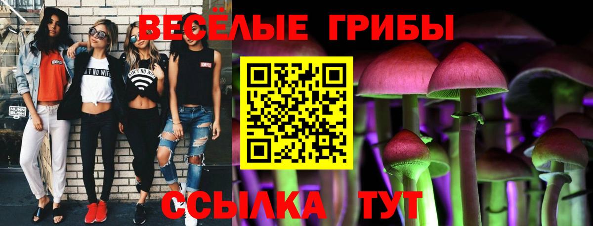 Асино  наркота  Вход с VPN  Галлюциногенные грибы MAGIC MUSHROOMS 